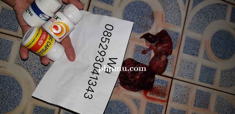 wa 0858 4265 0308 cara menggugurkan kandungan asli usia 123456 bulan gugurkan janin