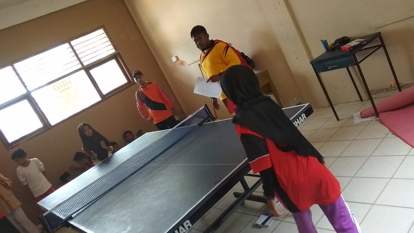 Tenis Meja